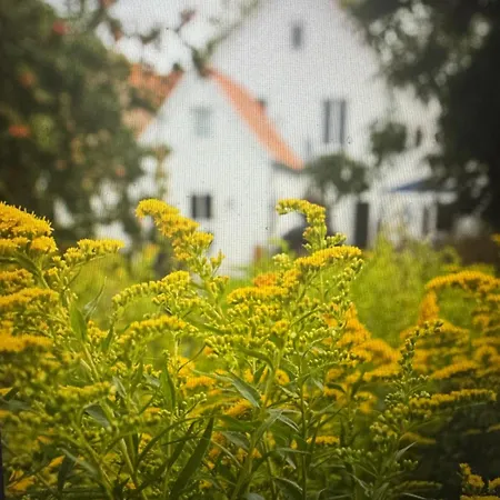 Vakantiehuis Bootshaus *