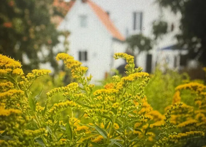 Casa de Férias Bootshaus *